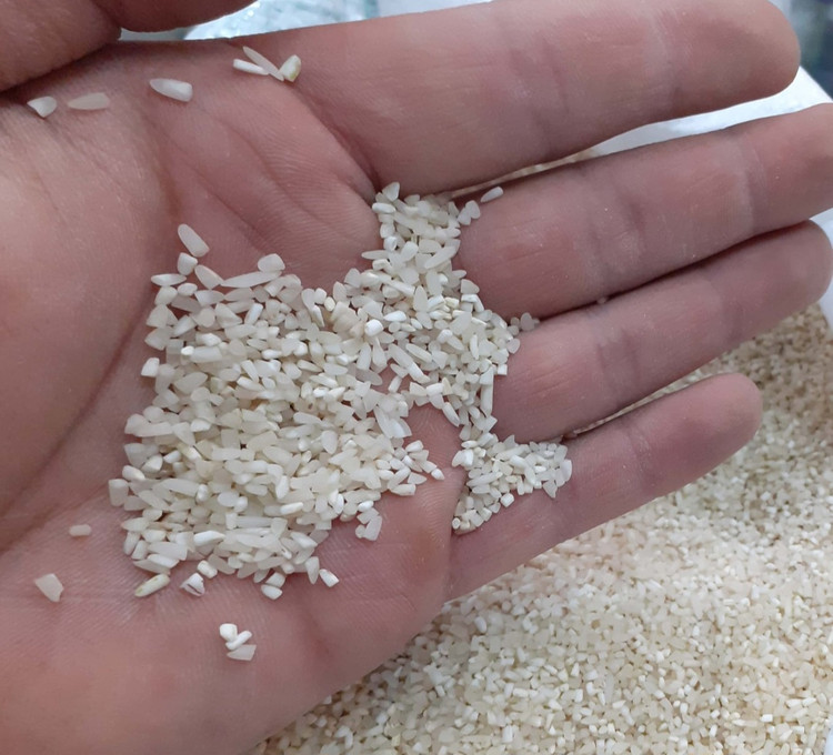 نیمدانه فجر دیلی شاپ